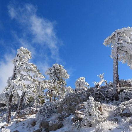 Villa Forastera Arroyo Frio Exteriör bild