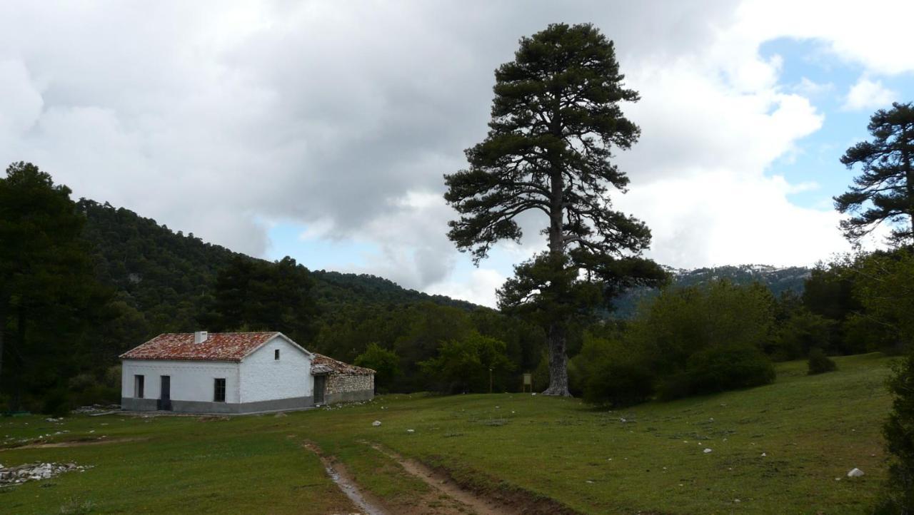 Villa Forastera Arroyo Frio Exteriör bild