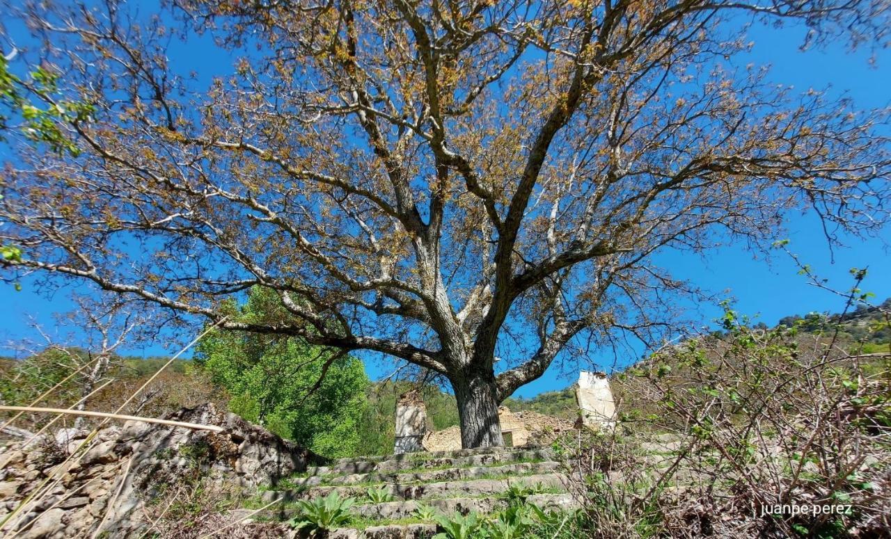 Villa Forastera Arroyo Frio Exteriör bild