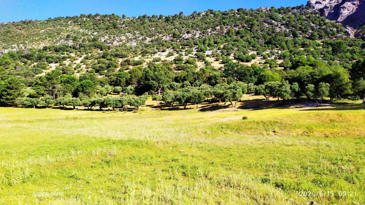 Villa Forastera Arroyo Frio Exteriör bild